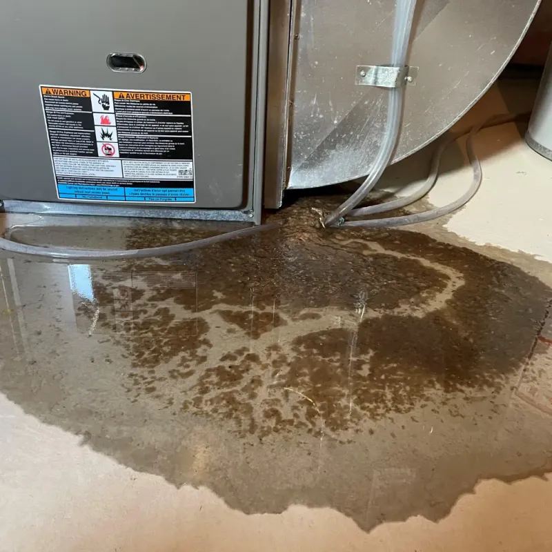 Appliance Leak Cleanup in Alamosa, CO