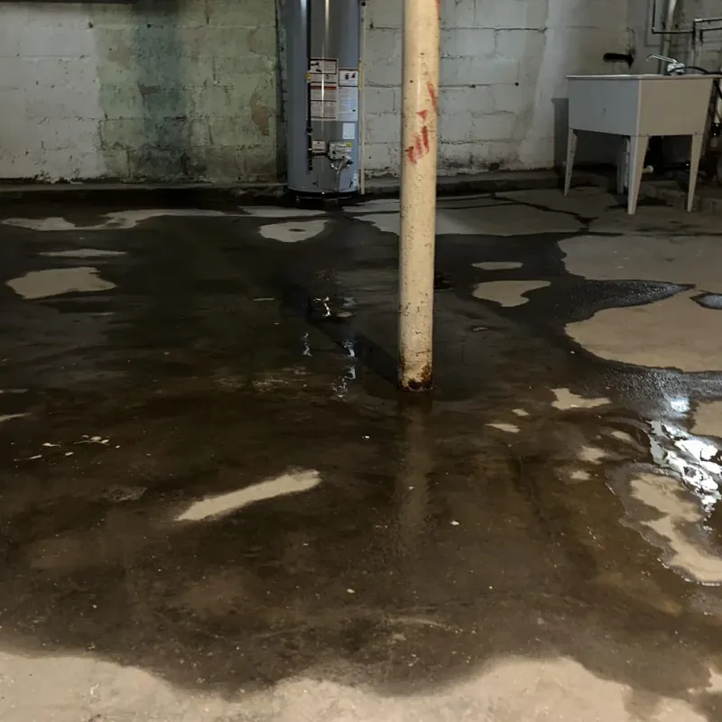Emergency Water Extraction And Removal in Alamosa, CO